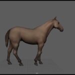 A 3d animated model of a horse performing a walk cycle on a grey background.
